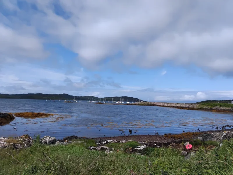 1000010406.webp