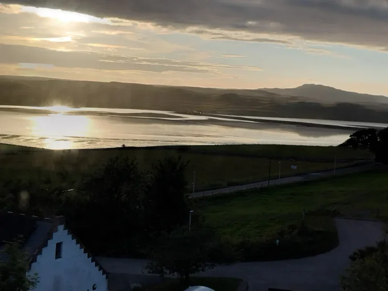 1000011126.webp