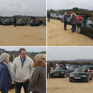 New Forest, 15 April 2018