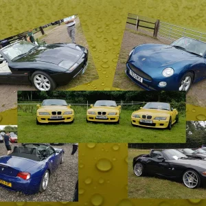 Zedfest  collage