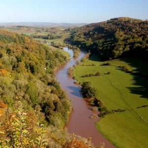 Autumn Colours Cruise, 27 Oct 2019